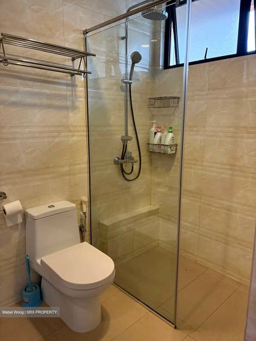 Yong An Park (D9), Condominium #559976991